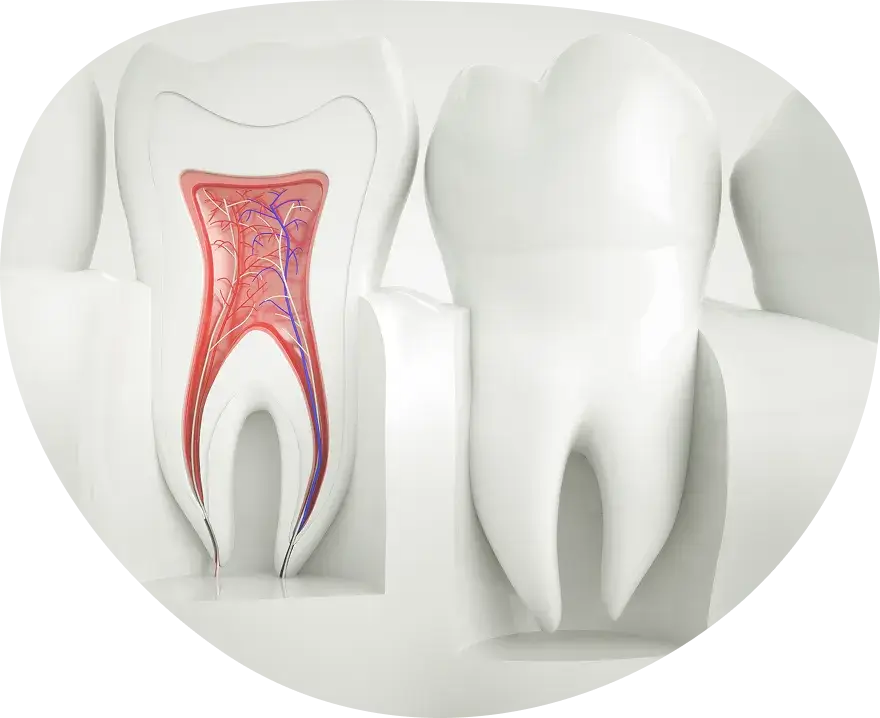 科学的根拠に基づく治療