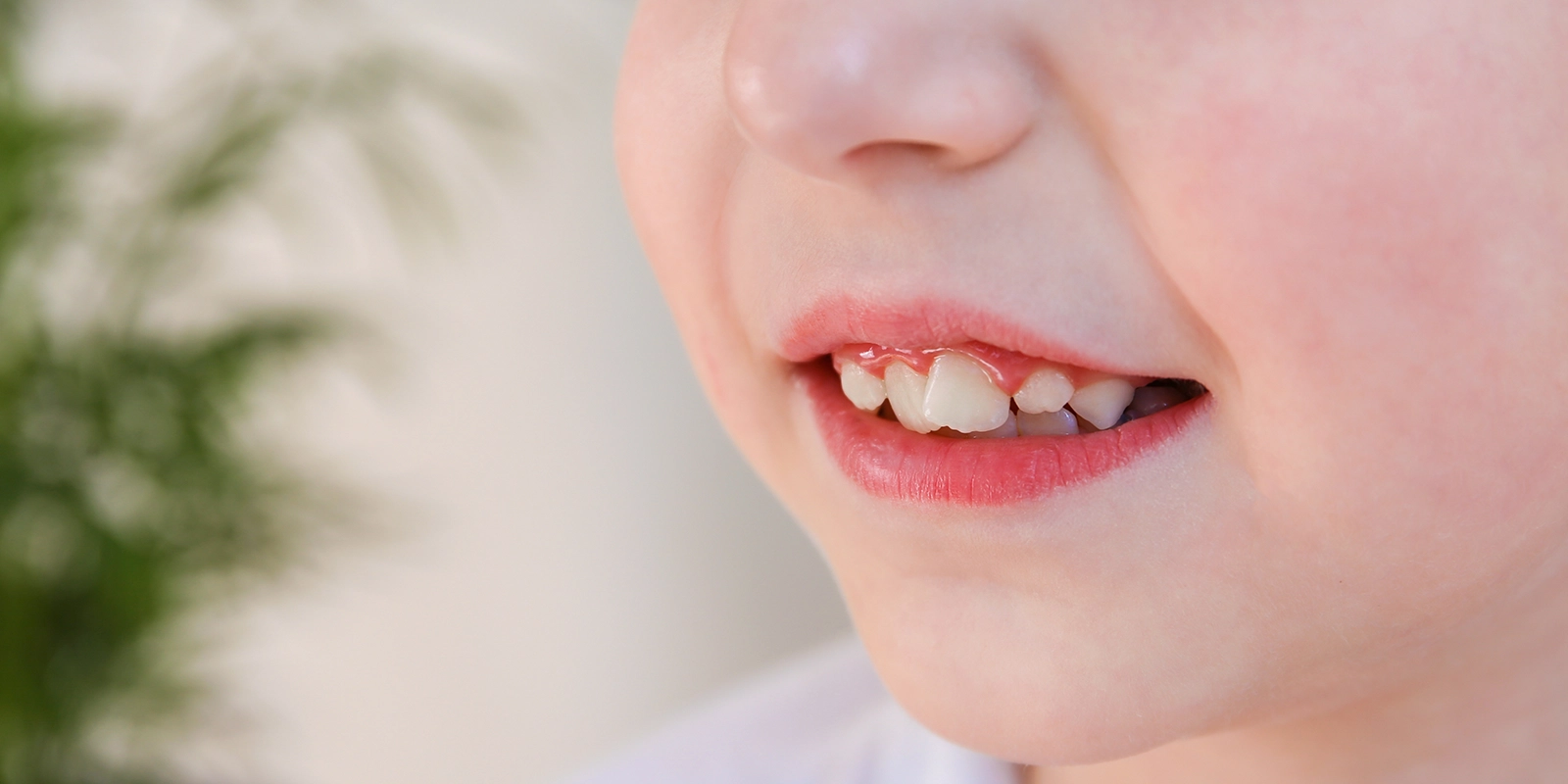 2歳児のお口の健康管理について